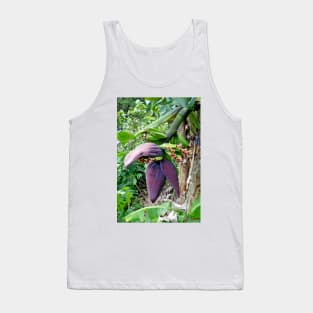 Iao Valley State Monument Study 7 Tank Top